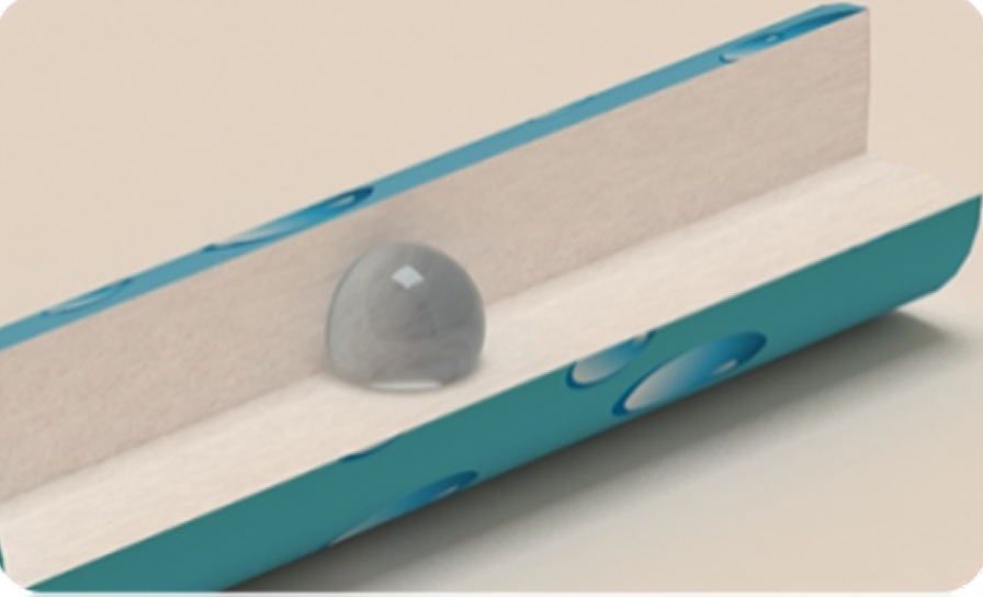 Quality and Sustainability